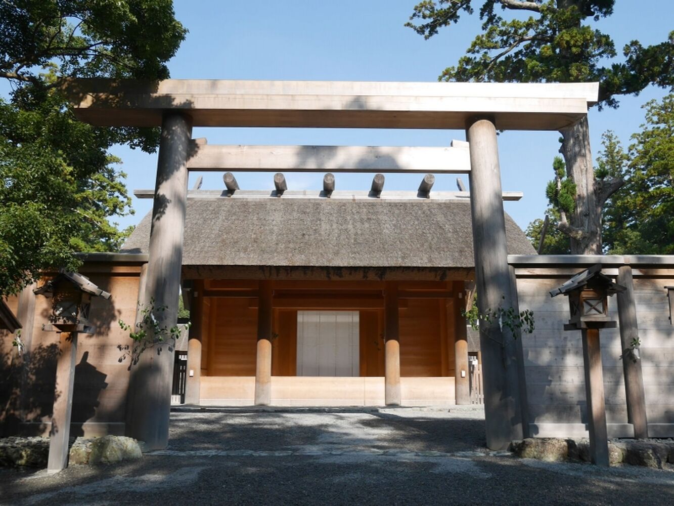 画像5349