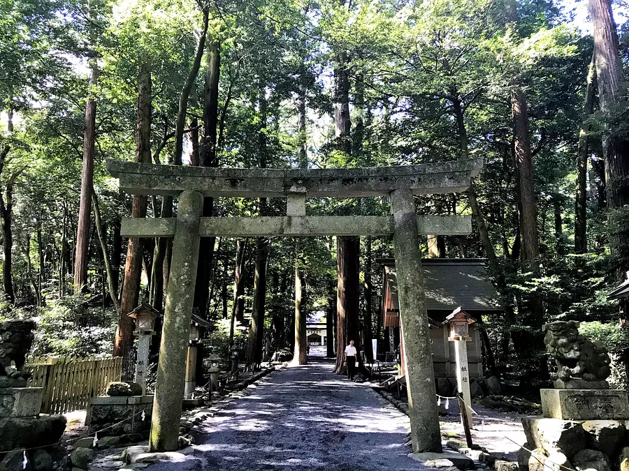 画像5363