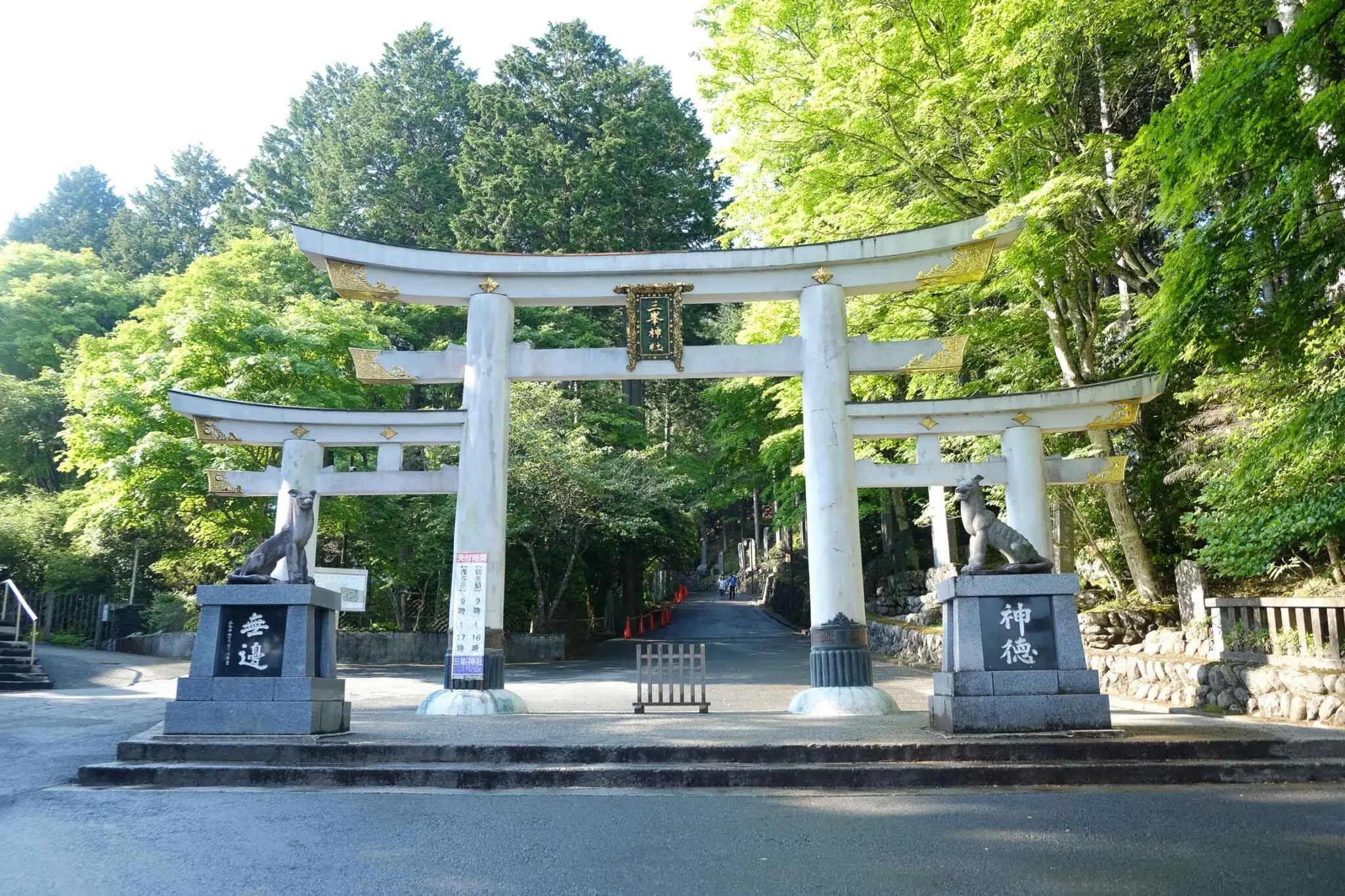 画像5397