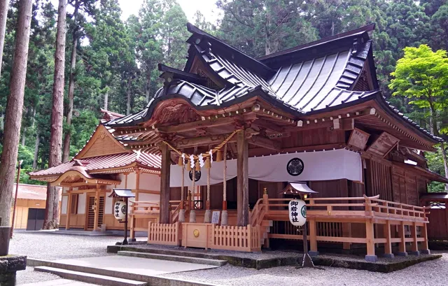 画像5411