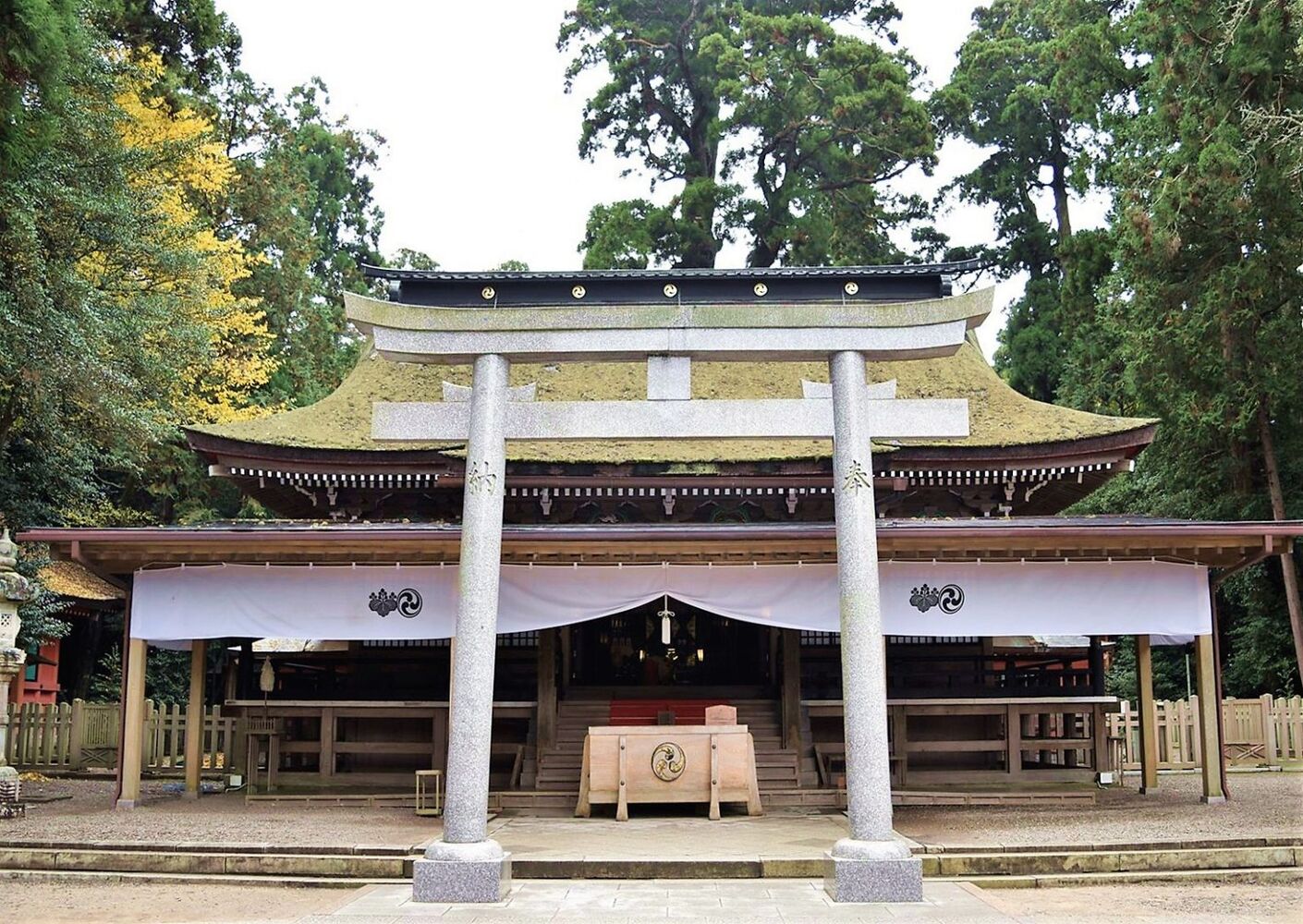画像5432
