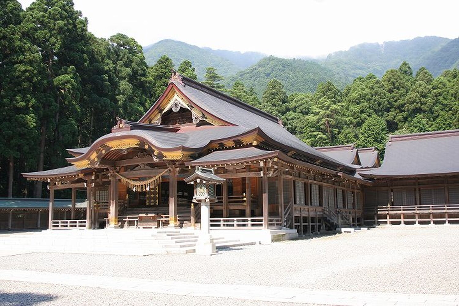 画像5439