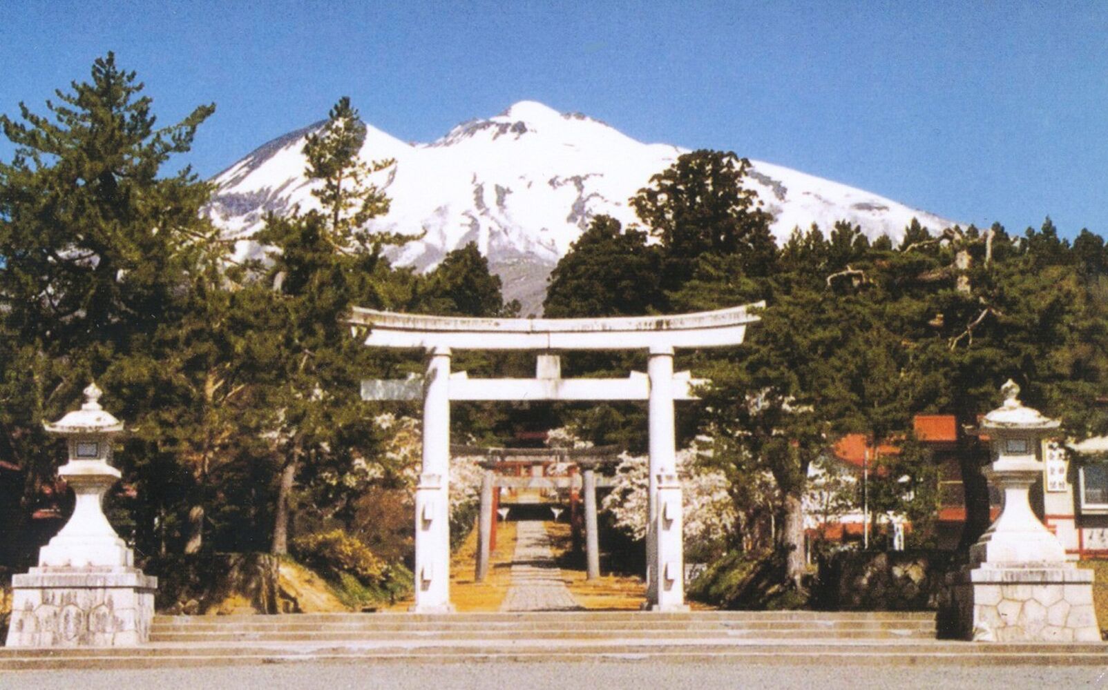 画像5453