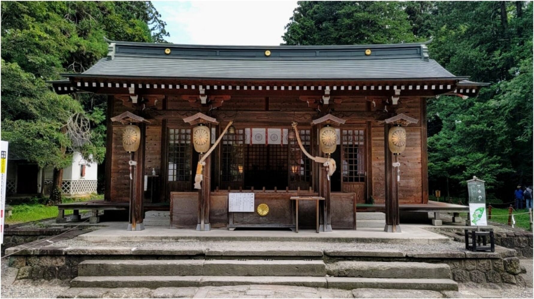 画像5594
