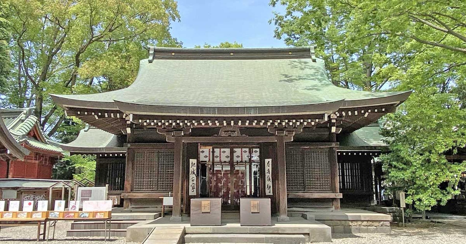 画像5642